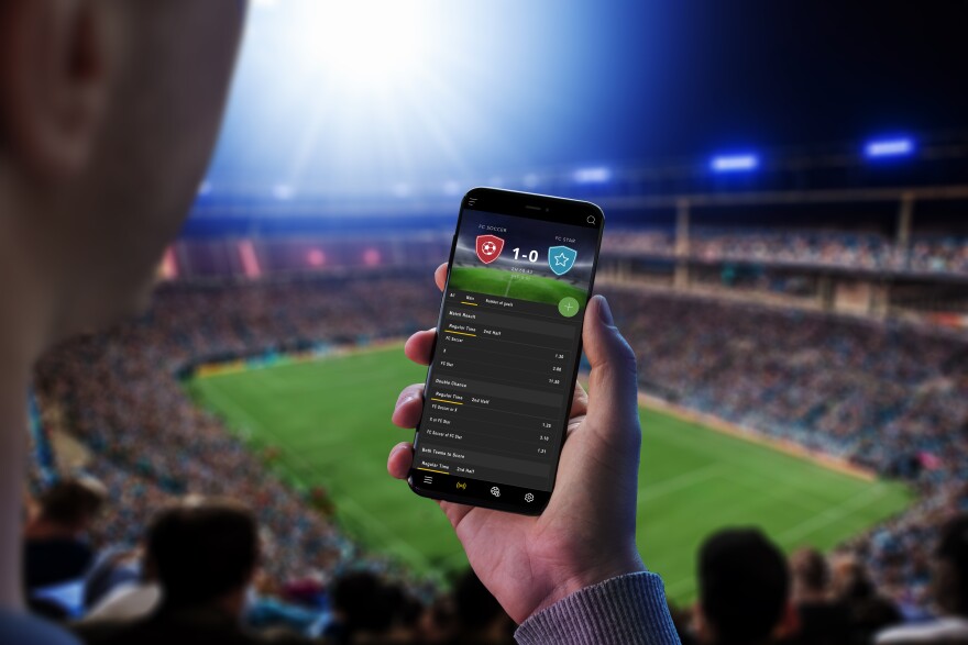 Explore the Excitement of Online Betting with bet24