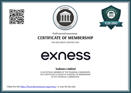 Detailed Exness ECN Account Review - Features, Benefits, and Insights
